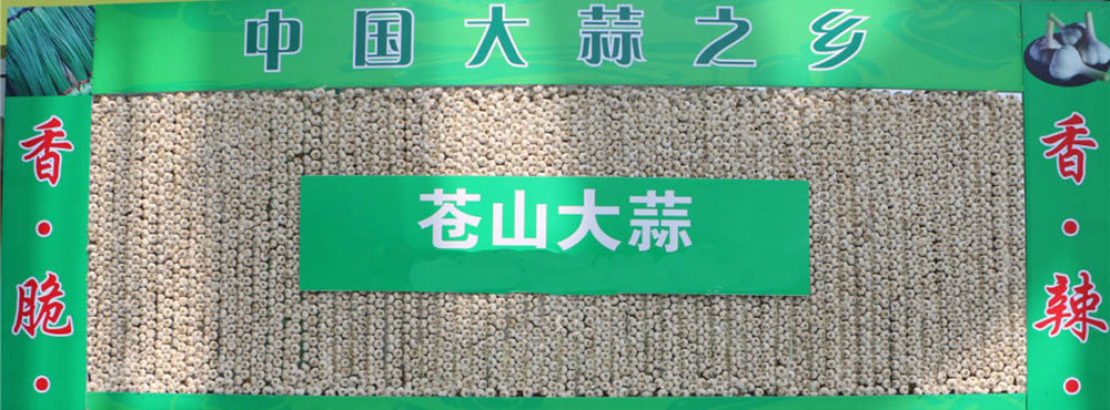 荣誉资质