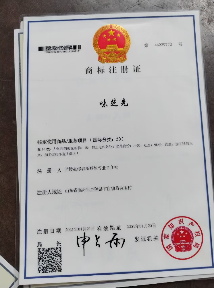 独有商标味芝先