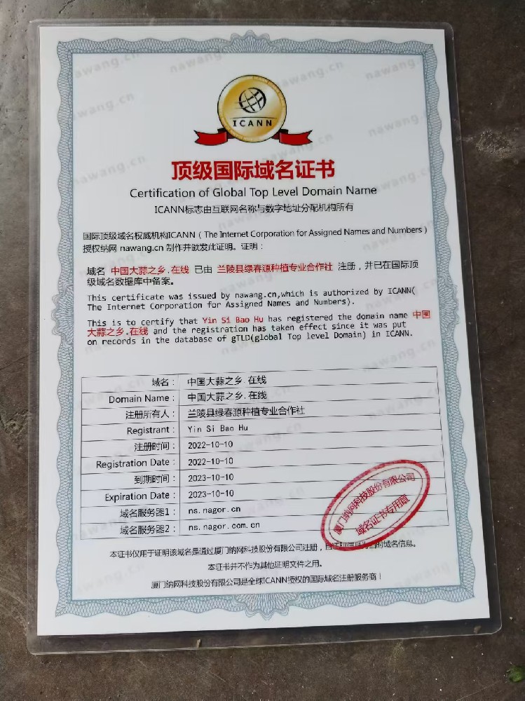 中国大蒜之乡.在线